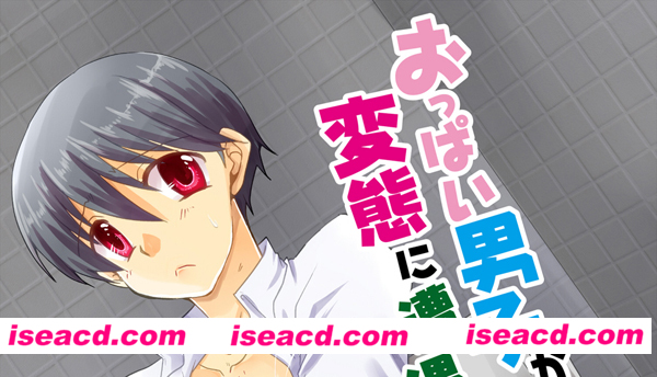 [LOVE HONEY MILK][漫画]【おっぱい男子がトイレで変態に遭遇する妄想】[全一话]][未汉化][百度盘]