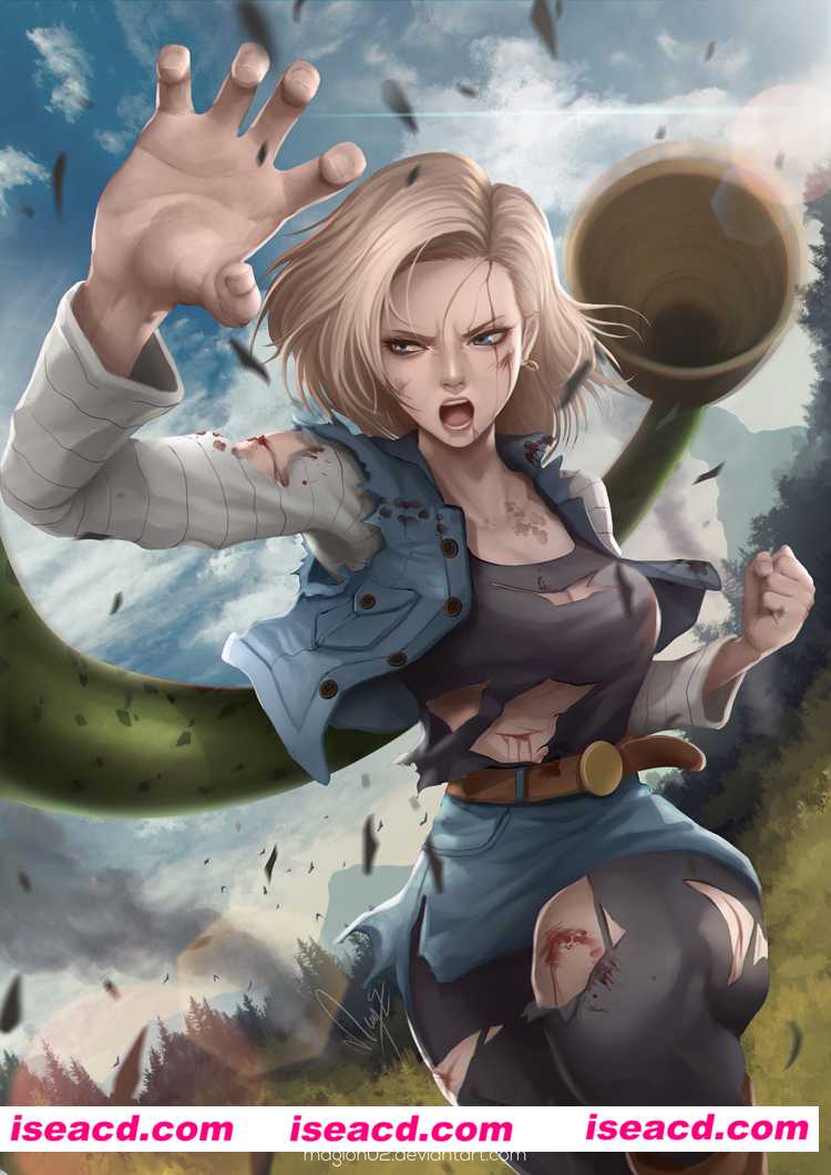 [漫画] 七龙珠人造人18号全彩同人漫画300页[百度云]