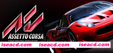 神力科莎/Assetto Corsa（V1.16.4）