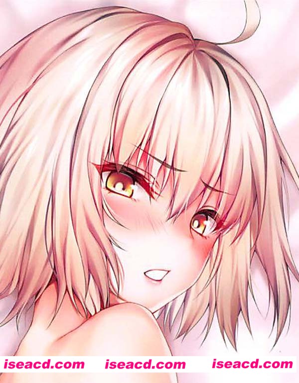 [フルカラー][漫画]【新宿オルタと眠れない夜】11[汉化][百度盘]