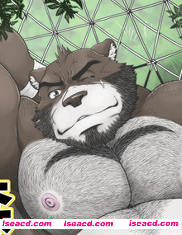 [furry兽 人][漫画]【森の熊さん】[全收录][完结][百度云][未汉化][百度盘]