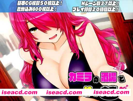 【日式RPG/ai汉化/全动态】放浪酒馆与神之大穴/カミラの酒場と神の大穴 Ver1.06 AI汉化版【1.9G】