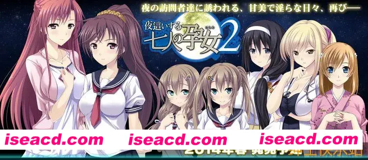 【日式ADV/AI汉化/拔作】夜袭-七名孕女 第二部 夜這いする七人の孕女2 Claude-3-7-sonnet翻译【1.9G/全CV】