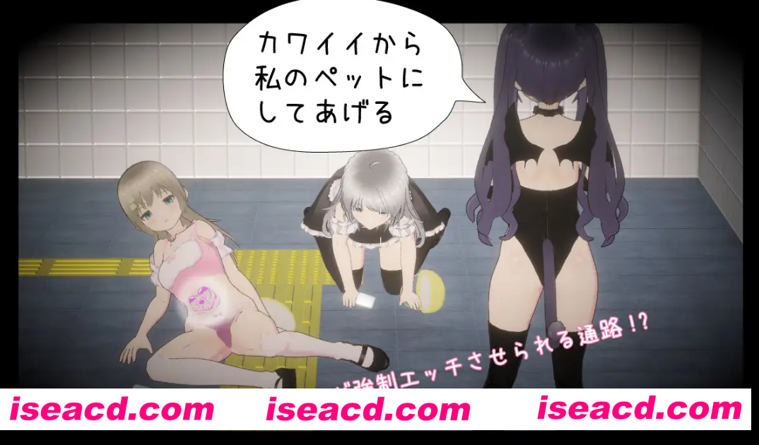 【3D互动/机翻/全动态】绝不会让你逃离的地铁出口 絶対にエッチさせられるメトロ出口 DL完整版【950M/新作】