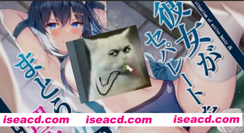 【里番/中字】女友穿上兩截式的原因 中文字幕 [1v] 【100M/CV】