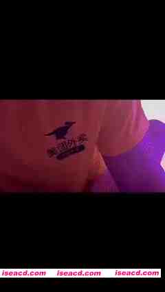 [视频/步兵/合集] 推特福利姬：李恩秀 门槛视频+私拍+卖逼VLOG+勾引外卖员系列合集 [22V] [400M]