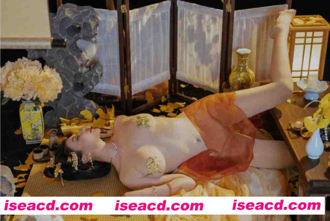 [COSPLAY] 奈汐酱nice – 金笺寄月 [90P] [1.6G]