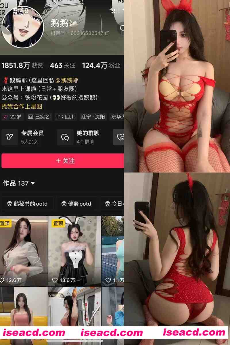 [视频/步兵/合集] 抖音百万粉丝福利姬：鹅鹅 金主订制系列全集 [45V] [1G]