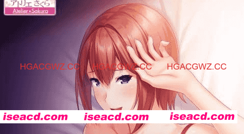 【ADV/AI汉化/CV】风冈实纱树的性生活～被其他男人拥抱的炮友【PC/1.2G】