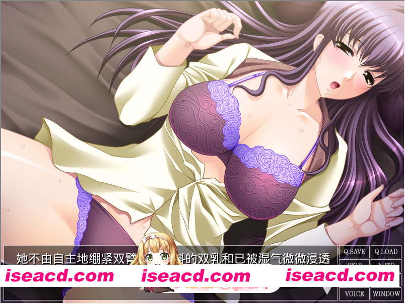 PC[母子背德调教拔作ADV]失去记忆的母亲~記憶喪失のお母さん+全CG存档[450M]