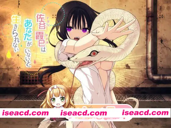 SLPG]  [迅雷云/FM]佐谷霞没有你就活不下去。/佐谷霞巳はあなたがいないと生きられない/AI汉化+存档 pc+更新 [1.35G]